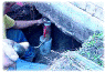 step12.gif (54688 bytes)