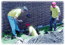 step16.gif (57010 bytes)