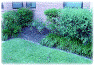 step18.gif (67896 bytes)