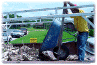 step19.gif (44929 bytes)