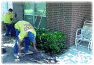 step6.gif (51887 bytes)